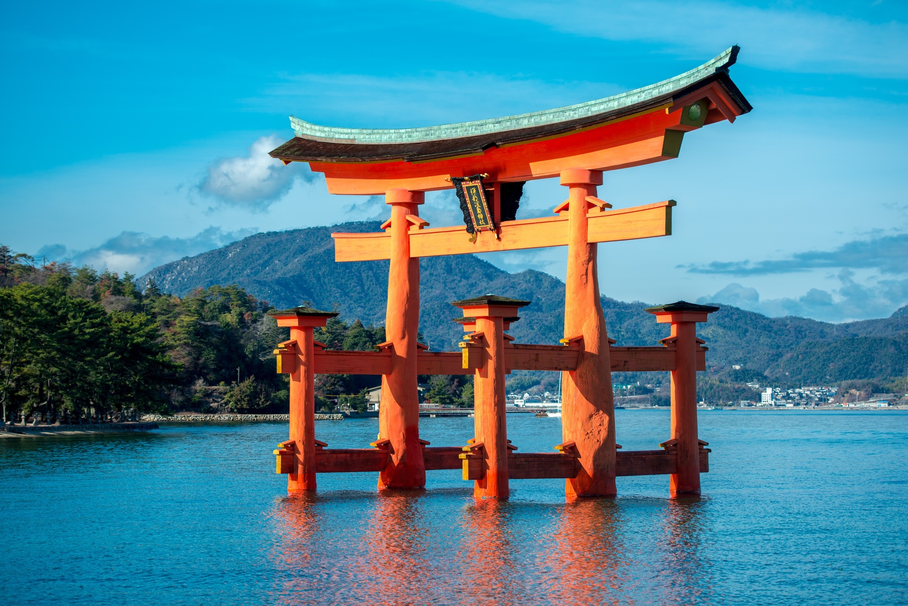 Guide To South Korea!