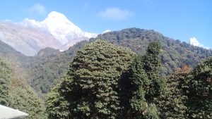This trek is ideal for travelers with limited time in Nepal, first-time trekkers, or those seeking a moderate adventure without the challenges of high-altitude